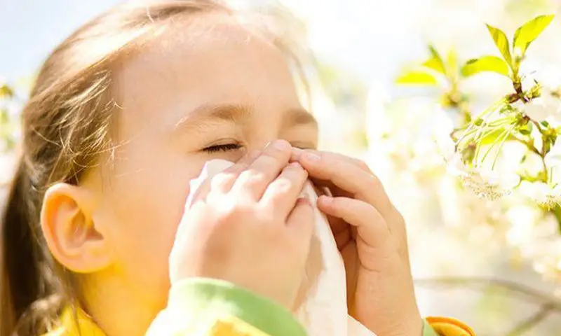 Fighting Seasonal Allergies